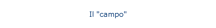 Il "campo"